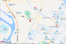西网青江1981电子地图