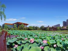 环境优美,户型正,可看湖,房东诚心出售