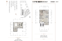 C3户型319.54㎡地下室、首层