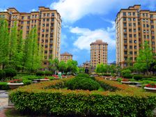 盛世沂城南区 3室2厅 南