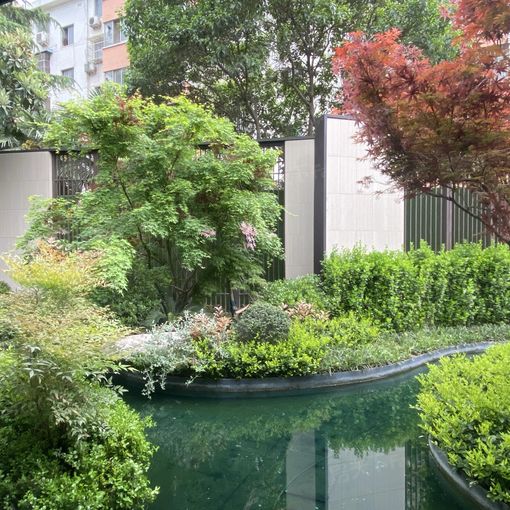常绿·林溪宸院3室2厅1卫南朝向1800.00元/月出租