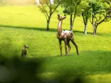 俊峰山万里 4室1厅 东南 南