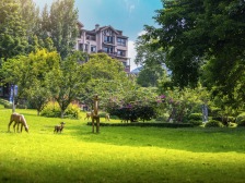 石井坡 俊峰山万里四房346万