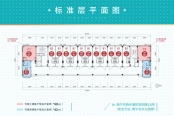 标准层平面图