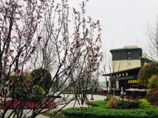 富元君庭 4室2厅 西南