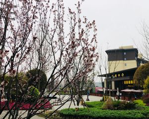 富元君庭 3室2厅 东南