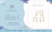 B户型117.75-122.52平三室