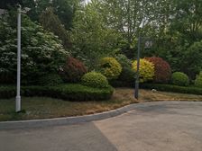 壹号院,精品三室,南北通透,好楼层,采光充足。