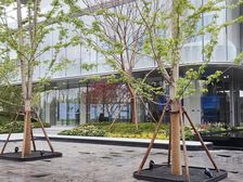 金地北京壹街区2室1厅东西