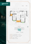 B户型116平