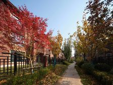 (精选新房)香河爱晚大爱城 交通便利 直接网签 从未入住