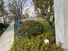 招商马尔贝拉 4室2厅 南 北