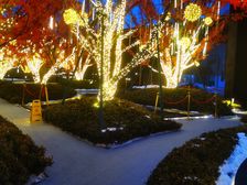 找我低价:98平410萬,113平460萬,151平773萬