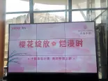 园区实拍