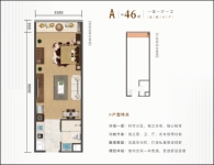 B2栋46平米户型图