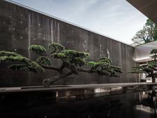 房东急售 好楼层 采光好 通透户型 诚心卖