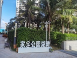 小区绿化