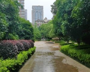 月亮岛次新小区大五房得房率高