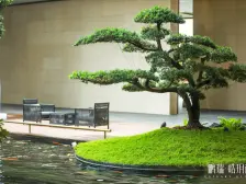 金字塔顶层 鹏瑞皓月湾 城市明信片 头排望江 稀有产品