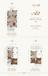 金融街听湖小镇3室3厅1厨3卫建面240.34㎡