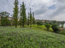 黄龙溪谷庄园独栋,花园1000平,临瀑布和大草坪