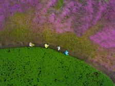 房子采光好,视野开阔,端头位置,花园大