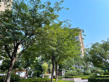 城南壹号一楼带院带下沉带车位诚意出售