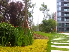 江北嘴 江北嘴公园里四房480万