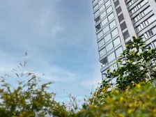 礼嘉之巅,央企品质洋房,头排临崖看江四房,板式结构