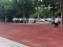 朝南 层析好 采光好 毛坯房 自由装修