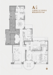 云顶至尊5室2厅5卫建面315.00㎡