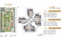 C5栋户型
