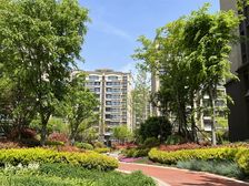 德馨园 电梯小高 顶楼复式 4居室 带大楼台