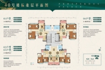 盛和园40号楼户型平面图