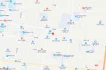 高邑县高邑镇东关村东高国储[2021]21号地块电子地图