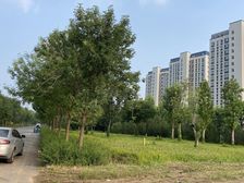 鲁中林湖公馆一楼带90平院子带车储