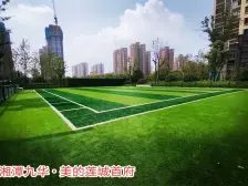 小区人车分流,南北通透,采光通风效果好,户型周正