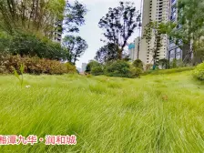 小区环境优美,人车分流,业主诚心出售