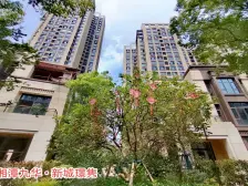 可价值5千一平的小区丨新城璟隽丨人车分流丨出价就谈