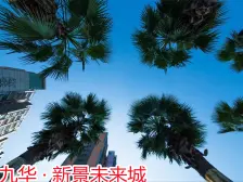 央企大盘 带游泳池 人车分流 可定制装修 风格可选