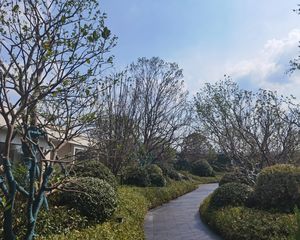 城发恒伟·西宸之光4室2厅南