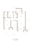 C -115平3室2厅2卫