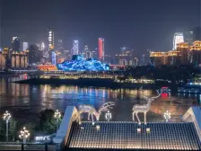 重庆CBD看房 必看南滨路 两江峯 平墅跃层 得房率超多
