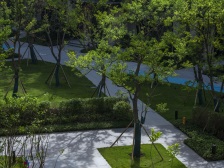 大渡口大滨路,近万达广场龙湖天街