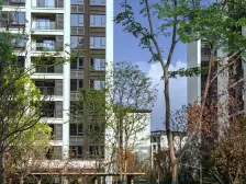 金地物业 正规三房 户型方正 临江洋楼 采光很好