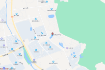 新湖仙林翠谷电子地图