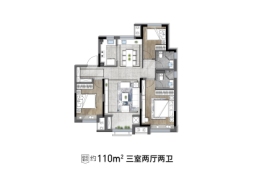 龙湖学樘府3室2厅1厨2卫建面110.00㎡