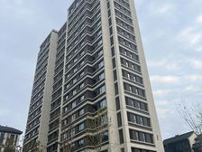 湖畔上叠别墅双车位储藏室露台50平有钥匙可贷款