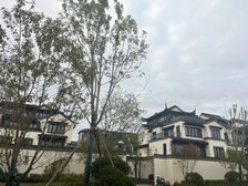 城投绿城·湖畔雲庐3室2厅南北