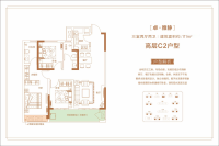 高层C2户型